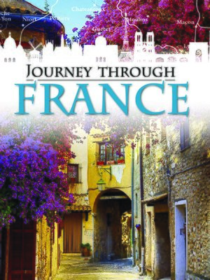 France - ebook